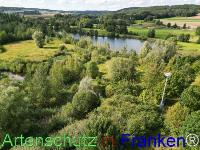 © Artenschutz in Franken® Bild zum Eintrag (1110649-160)