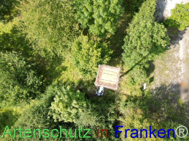 © Artenschutz in Franken® Bild zum Eintrag (1110650-160)