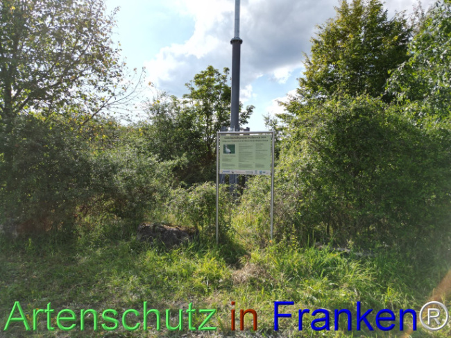 Bild zum Eintrag (1110658-160)