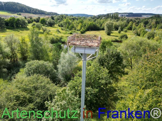 Bild zum Eintrag (1110659-160)
