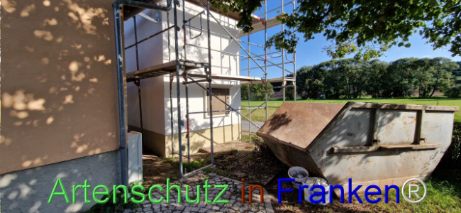 © Artenschutz in Franken® Bild zum Eintrag (1110671-160)