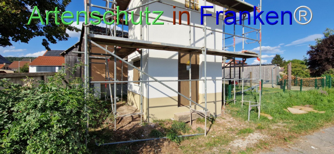 © Artenschutz in Franken® Bild zum Eintrag (1110672-160)