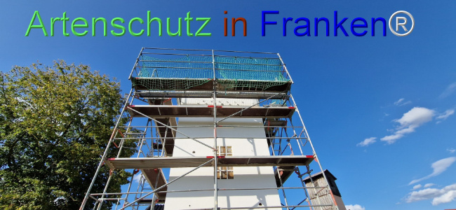 © Artenschutz in Franken® Bild zum Eintrag (1110675-160)