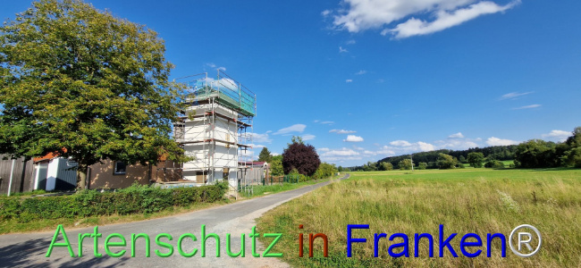 © Artenschutz in Franken® Bild zum Eintrag (1110676-160)