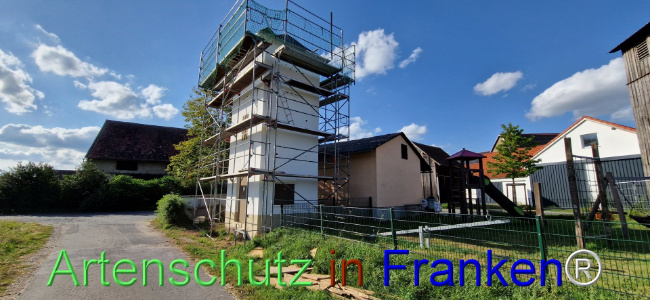 © Artenschutz in Franken® Bild zum Eintrag (1110677-160)