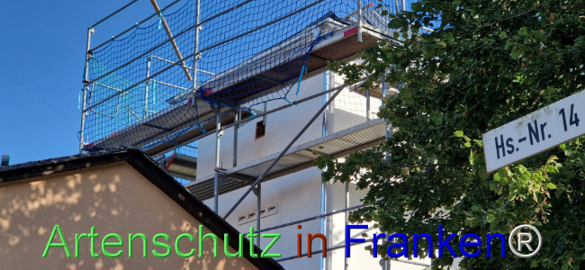Bild zum Eintrag (1110683-160)