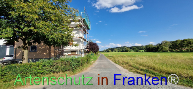 Bild zum Eintrag (1110684-160)