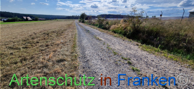 © Artenschutz in Franken® Bild zum Eintrag (1110714-160)