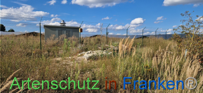 © Artenschutz in Franken® Bild zum Eintrag (1110726-160)