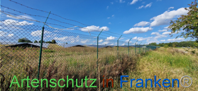 © Artenschutz in Franken® Bild zum Eintrag (1110741-160)
