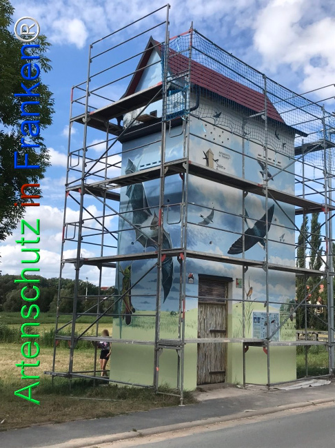 © Artenschutz in Franken® Bild zum Eintrag (1110776-160)