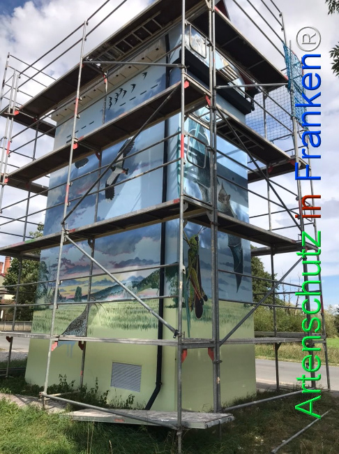 © Artenschutz in Franken® Bild zum Eintrag (1110779-160)