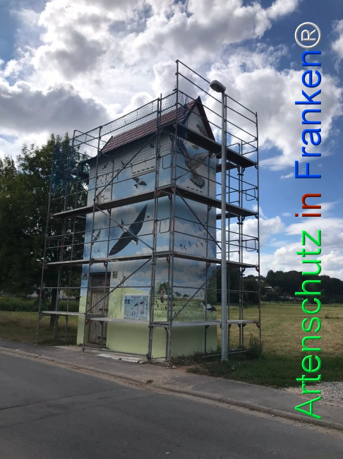 © Artenschutz in Franken® Bild zum Eintrag (1110782-160)