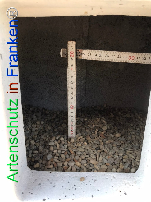 © Artenschutz in Franken® Bild zum Eintrag (1110783-160)