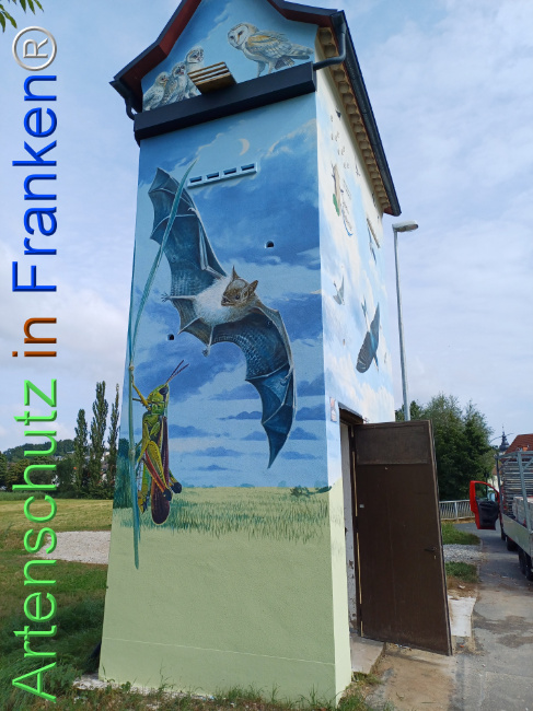 © Artenschutz in Franken® Bild zum Eintrag (1110868-160)