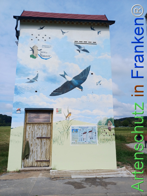 © Artenschutz in Franken® Bild zum Eintrag (1110869-160)