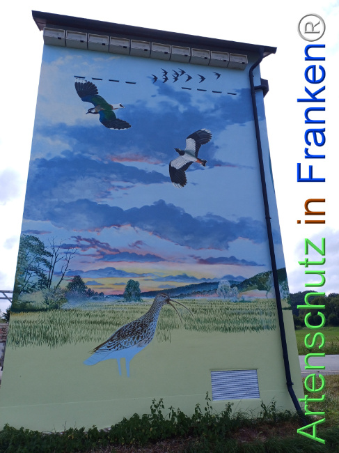 © Artenschutz in Franken® Bild zum Eintrag (1110873-160)