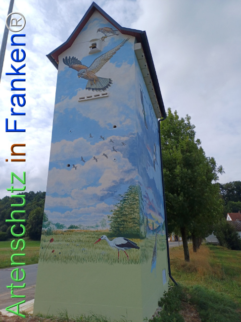 © Artenschutz in Franken® Bild zum Eintrag (1110874-160)