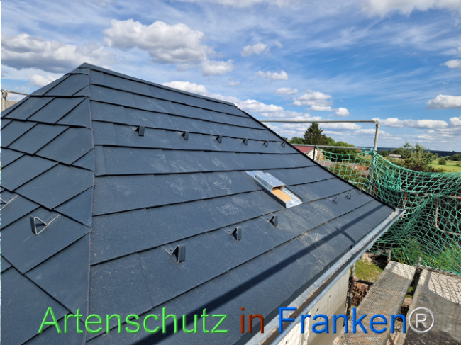 Bild zum Eintrag (1110941-160)