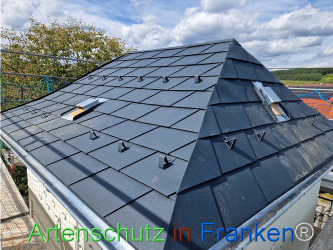 Bild zum Eintrag (1110942-160)