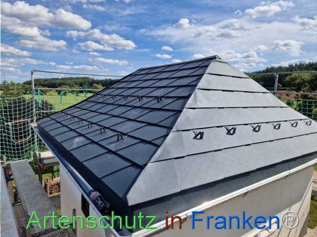 Bild zum Eintrag (1110946-160)
