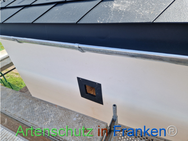 Bild zum Eintrag (1110948-160)
