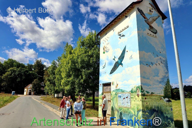 © Artenschutz in Franken® Herbert Bürk Bild zum Eintrag (1110956-160)