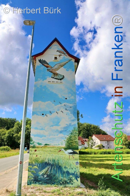 Bild zum Eintrag (1110958-160)