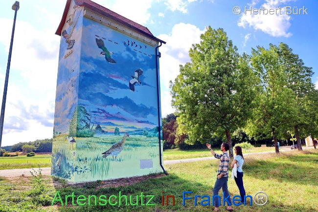 Bild zum Eintrag (1110959-160)