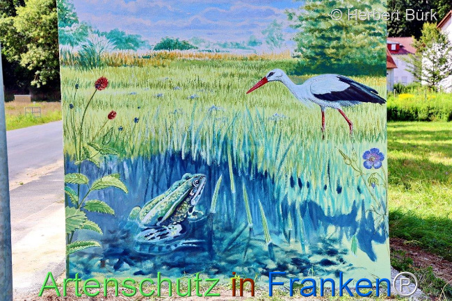 Bild zum Eintrag (1110960-160)