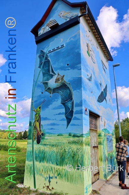 Bild zum Eintrag (1110961-160)
