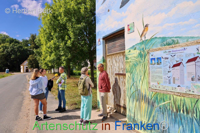 Bild zum Eintrag (1110968-160)