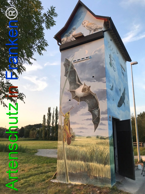 Bild zum Eintrag (1110995-160)