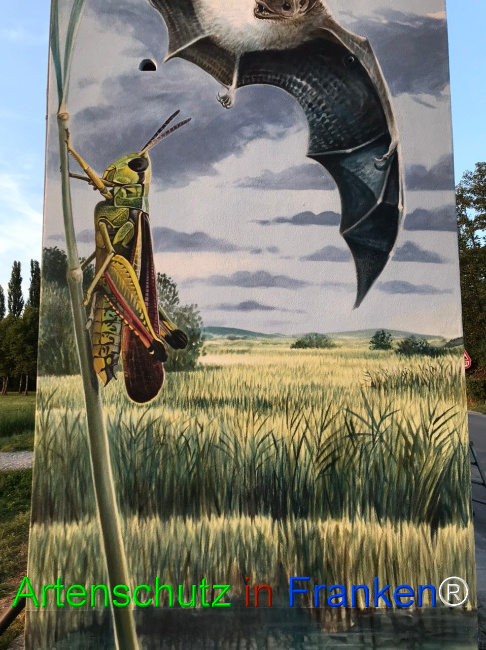 Bild zum Eintrag (1110997-160)