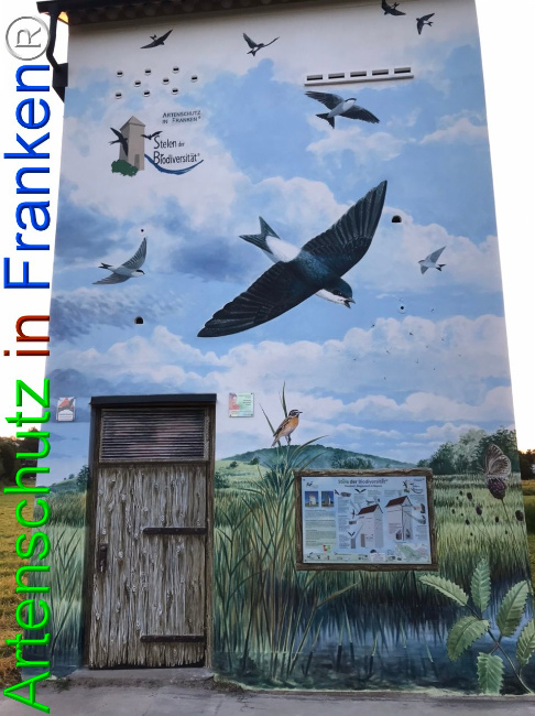 Bild zum Eintrag (1111001-160)