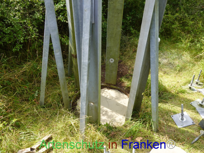 © Artenschutz in Franken® / Dreißig Bild zum Eintrag (1111363-160)