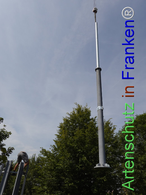 © Artenschutz in Franken® / Dreißig Bild zum Eintrag (1111365-160)