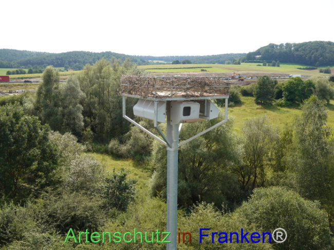 © Artenschutz in Franken® / Dreißig Bild zum Eintrag (1111377-160)