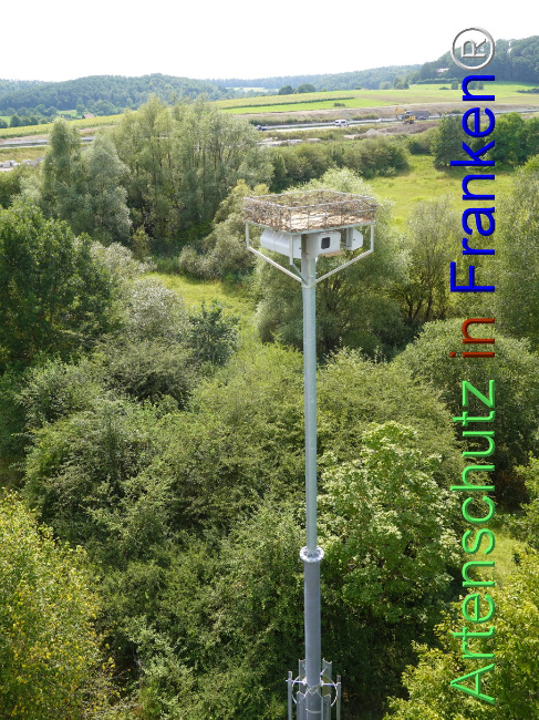 © Artenschutz in Franken® / Dreißig Bild zum Eintrag (1111381-160)