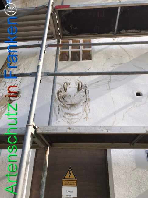 © Artenschutz in Franken® Bild zum Eintrag (1111394-160)