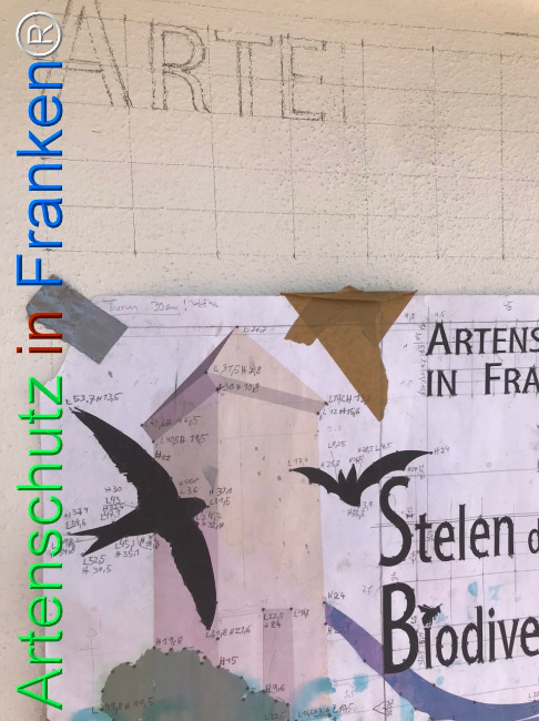 Bild zum Eintrag (1111399-160)