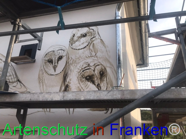 Bild zum Eintrag (1111563-160)