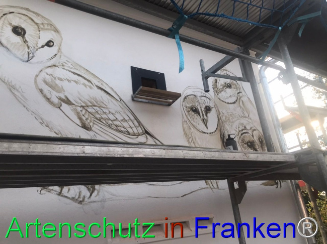 Bild zum Eintrag (1111564-160)