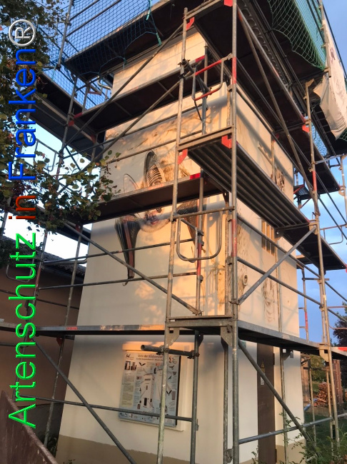© Artenschutz in Franken® Bild zum Eintrag (1111648-160)