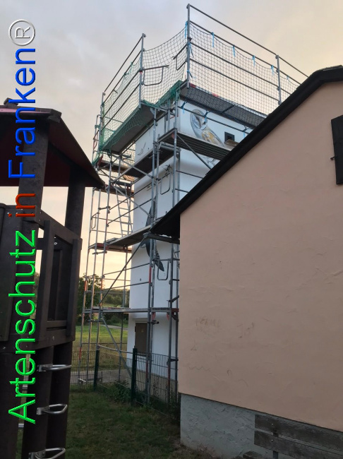 © Artenschutz in Franken® Bild zum Eintrag (1111652-160)