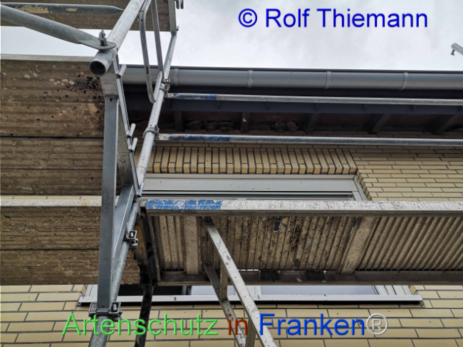 Bild zum Eintrag (1111659-160)
