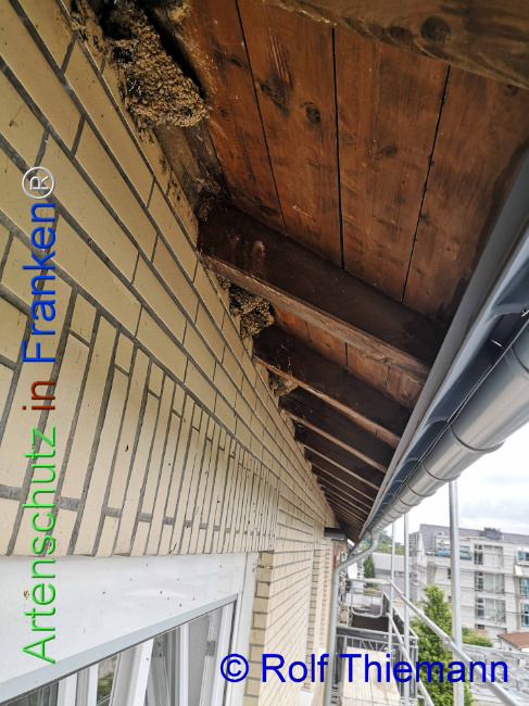 Bild zum Eintrag (1111660-160)