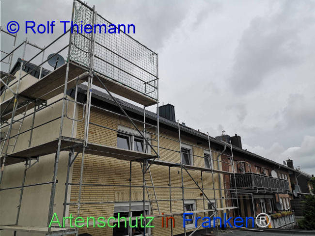 Bild zum Eintrag (1111662-160)