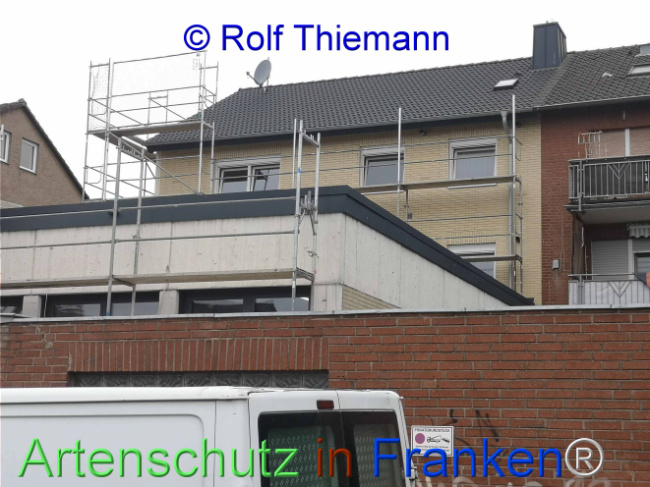Bild zum Eintrag (1111663-160)