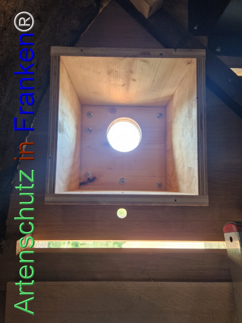 © Artenschutz in Franken® Bild zum Eintrag (1111824-160)